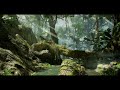 Predator Ambience in the Jungle [4 Hours]