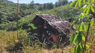 Download lagu Suku Dayak || Kehidupan Berburu  di hutan kalimantan mp3 Download lagu Suku Dayak || Kehidupan Berburu  di hutan kalimantan mp3