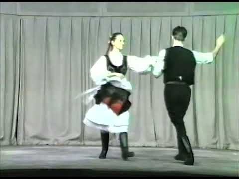 Török Ildikó - Hahn-Kakas István: Bonchidai invirtita