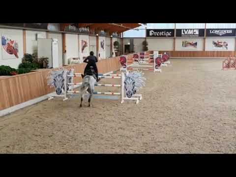 Mumbai v. Diamant de Semilly-Nabab de Rêve, Training 2020