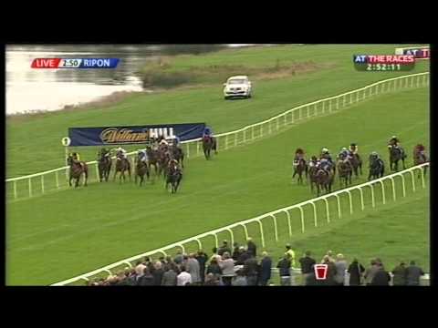 William Hill Silver Trophy H'cap, 16-08-14