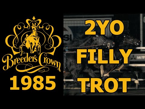 1985 Breeders Crown - Jef's Spice - 2YO Filly Trot