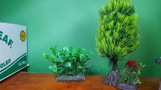 dilophosaur encounter (no sound)