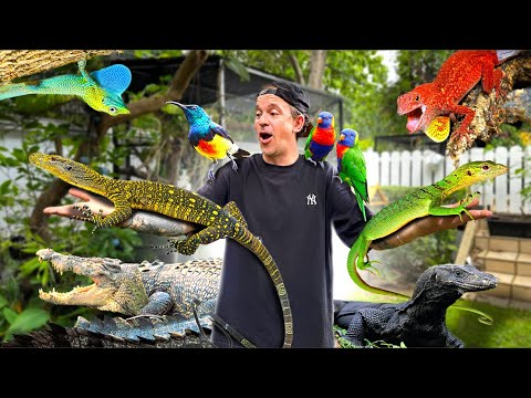 JE VOUS MONTRE TOUS MES ANIMAUX ! - TOOPET