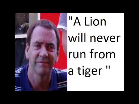 Tiger vs Lion - Lion Fanboys Say the Darndest Things part 6.
