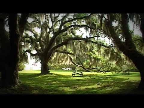 download lagu mp3 mp4 First African Baptist Church Cumberland Island Wedding, download lagu First African Baptist Church Cumberland Island Wedding gratis, unduh video klip First African Baptist Church Cumberland Island Wedding