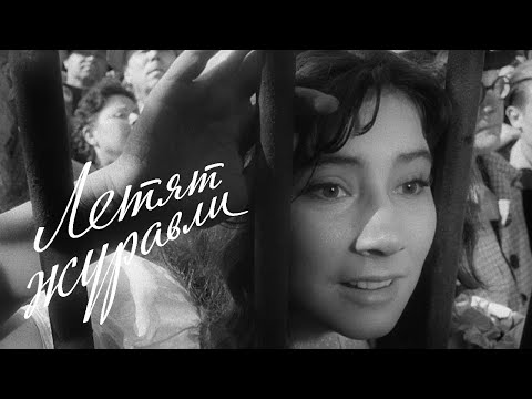 The Cranes Are Flying