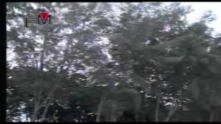 Download lagu Dilambung ombak kasih-spin mp3 Download lagu Dilambung ombak kasih-spin mp3