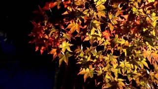 牵手。Qian Shou 。Holding Hands 。苏芮 。Julie Su 。Cover 。