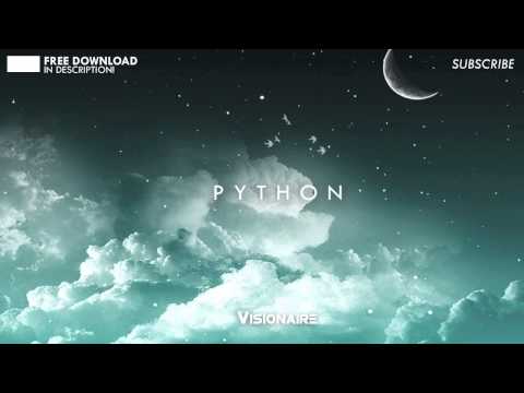 Visionaire - Python (Original Mix)