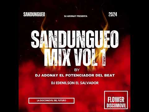 SANDUNGUEO MIX VOL 1 DJ EDENILSON FT DJ ADONAY FT FLOWER DISCOMOVIL