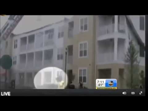 Florida'da  yangından kaçan kedi