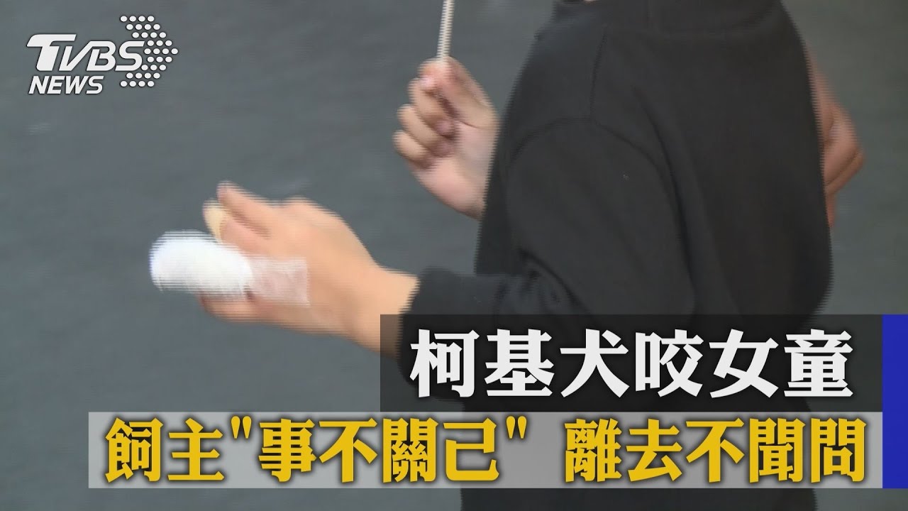 柯基犬咬女童 飼主「事不關己」離去不聞問