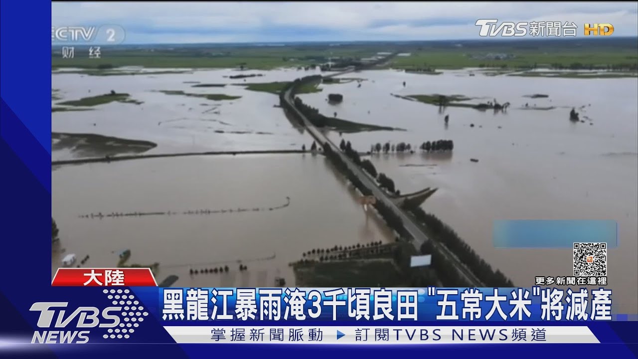 黑龍江暴雨淹3千頃良田 五常大米將減產
