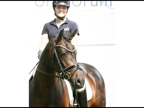 COSMONAUTIN 3j. Stute v. Cosmopolitan NRW