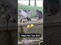 Happy New Year 2023 |` Sab LOol Hai