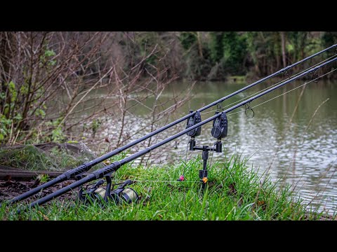 Winter CARP Fishing on an Old Estate Lake!🇬🇧