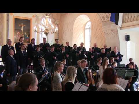 Villem Kapp - Põhjarannik