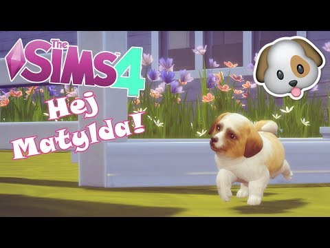 🐶 Hej Matylda! #4 | Nasz nowy PIESIO! |The Sims 4