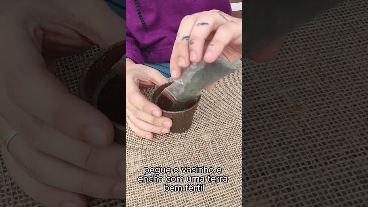 thumbnail video youtube