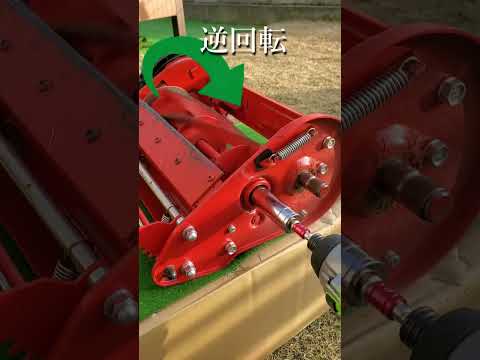 冬に芝刈りをするのは良いアイデアですか、それとも悪いアイデアですか?シンプルで実践的なアドバイスに従ってください。  庭園