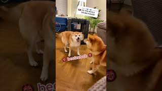 Belial. Behemoth. Beelzebub. Asmodeus. Satanas. Lucifer 👹