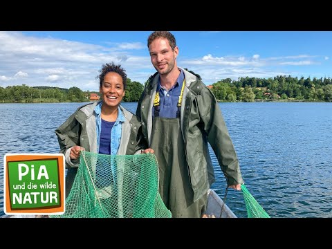 Räuber im See | Reportage für Kinder | Pia und die...