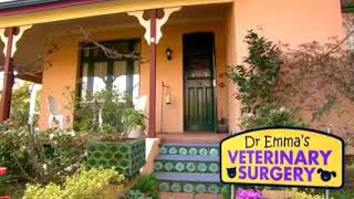 Dr. Emma&#39;s Veterinary Surgery (2013)