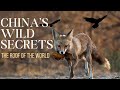 Inside The Roof Of The World China S Wild Secrets National Geographic Animal Planet