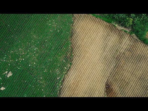 Mga Tawong Binukid | Trailer