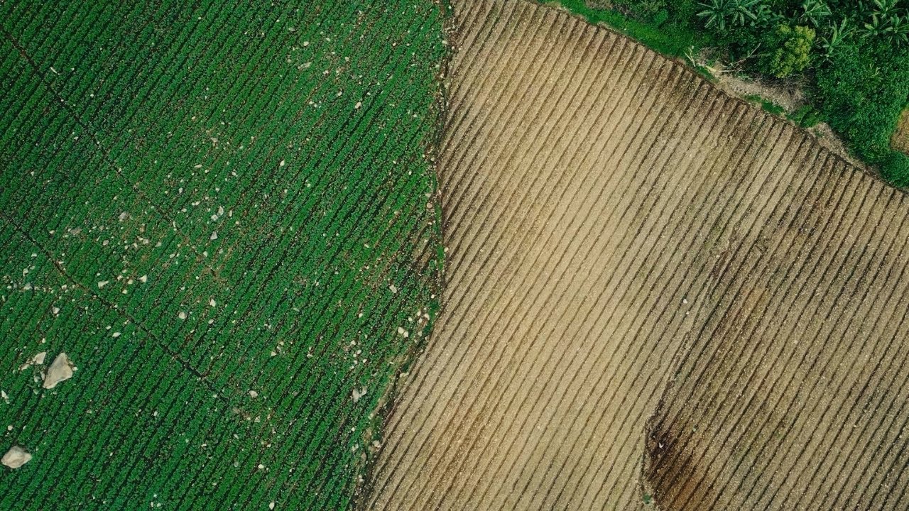 Mga Tawong Binukid | Trailer