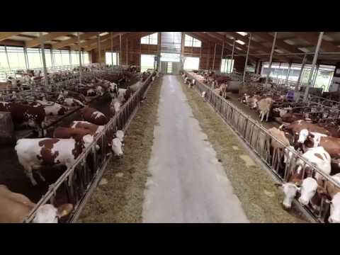 download lagu mp3 mp4 Hdhb, download lagu Hdhb gratis, unduh video klip Hdhb