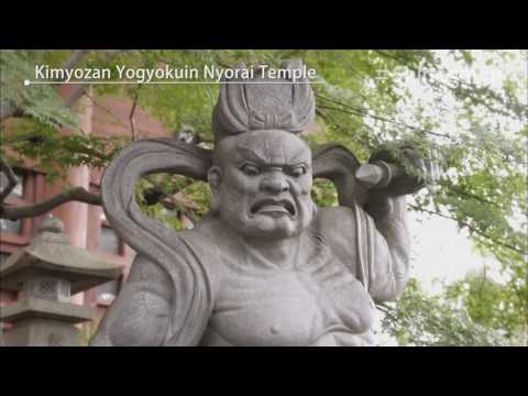 By yourside Shinagawa　～NYORAI TEMPLE～