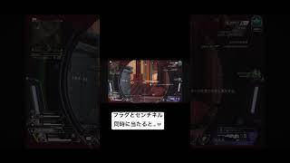 【ApexLegends】神フラグとセンチネルのダブルコンボ219💀　　#apex #apexlegends #apexlegendsclips #エーペックスレジェンズ #エーペックス #神フラグ