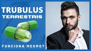 Tribulus Terrestris Puro Onde Vende Deve assistir!-Onde comprar o tribulus terrestris puro