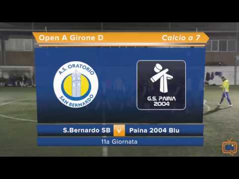 Sintesi S.Bernardo SB - Paina 2004 Blu