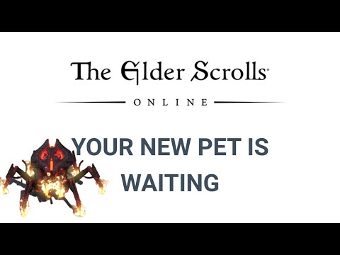 HOW TO REDEEM REWARD CODES The Elder Scrolls Online -...