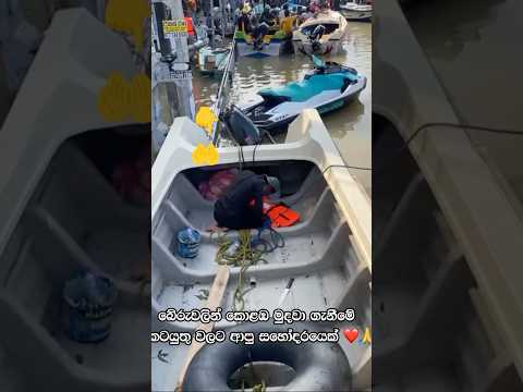 බේරුවලින් කොළඹ මුදවා ගැනීමේ කටයුතුවලට ආපු සහෝදරයෙක් 💪❤️ #humanity #rescue #heavyrain #trending