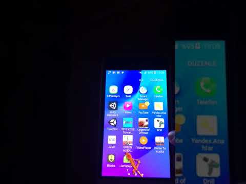 Lizard  on phone  prank Video