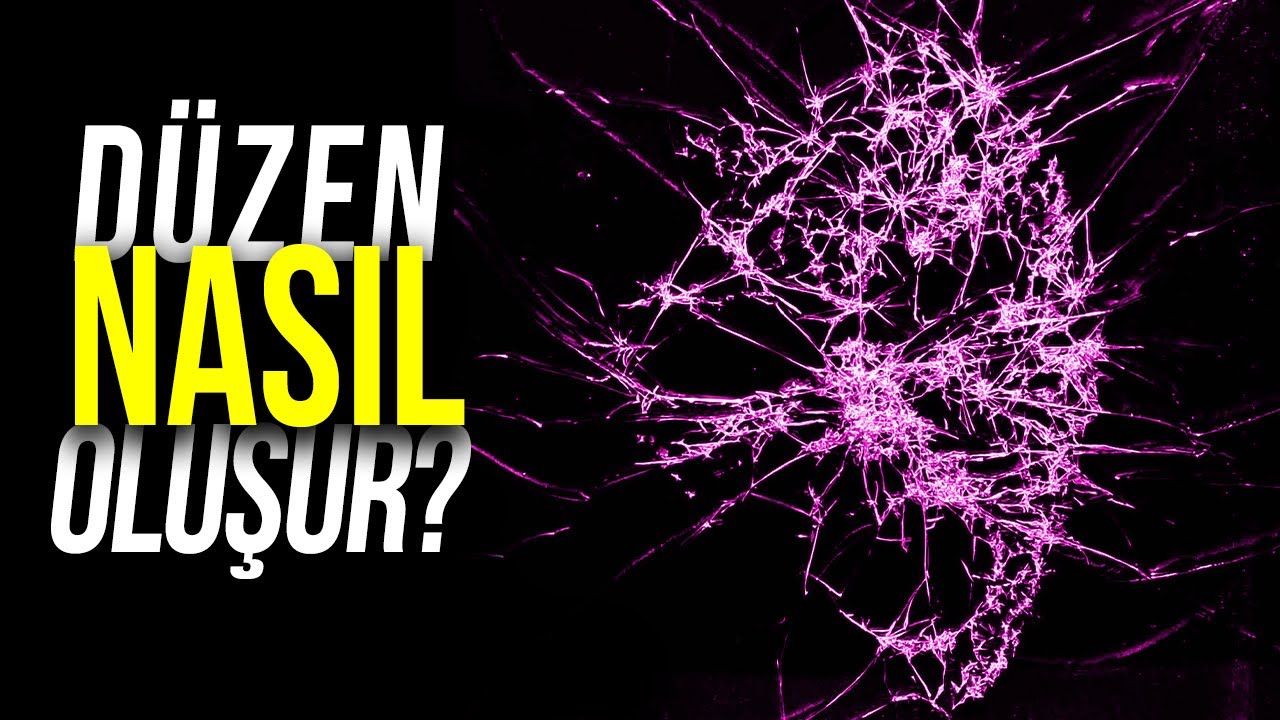 Kaostan Gelen Düzen: Entropi Sürekli Artıyorsa Karmaşık Canlılar Nasıl Evrimleşiyor?