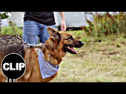 The Dog and the shed scene - THE SHED(2019) Horror Movie Clips