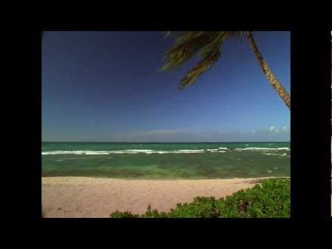 The Lost Scrolls - Mists of Pyandonea HD