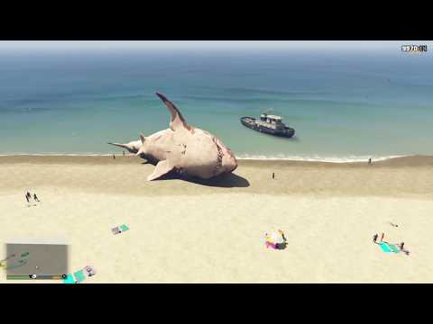 GTA 5   Hunting the Megalodon Shark!
