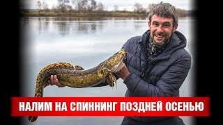 Как поймать налима на спиннинг