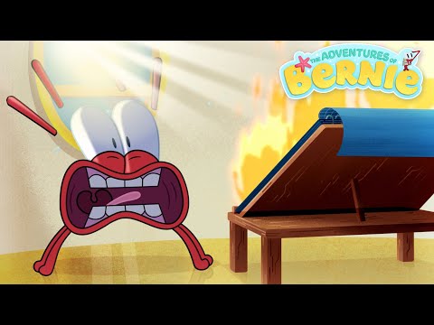 NEW The Adventures of Bernie 💥 Neighbor Trouble (S01-E06)  Zig & Sharko - Cartoons for Kids