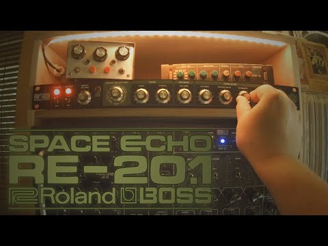 Space Echo RE20.1 / 1U Custom Rackmount