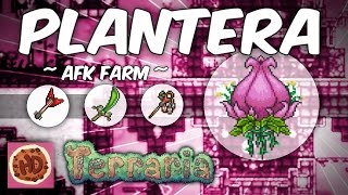 Terraria AFK Plantera Farm | Get the Axe, Venus Magnum, Seedler & More! (1.3 bosses, afk farms)