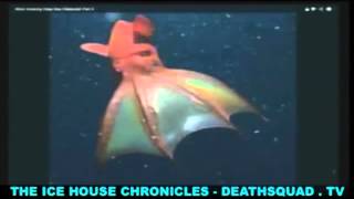 The Ice House Chronicles #65 | Deep Sea Creatures