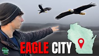 Every Winter, This Town Is Taken Over by Eagles!