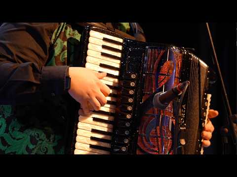 FISARMONICA | "LA NOTTE DELLA FILUZZI" (Valzer) Nicolò Quercia @Musicainballo